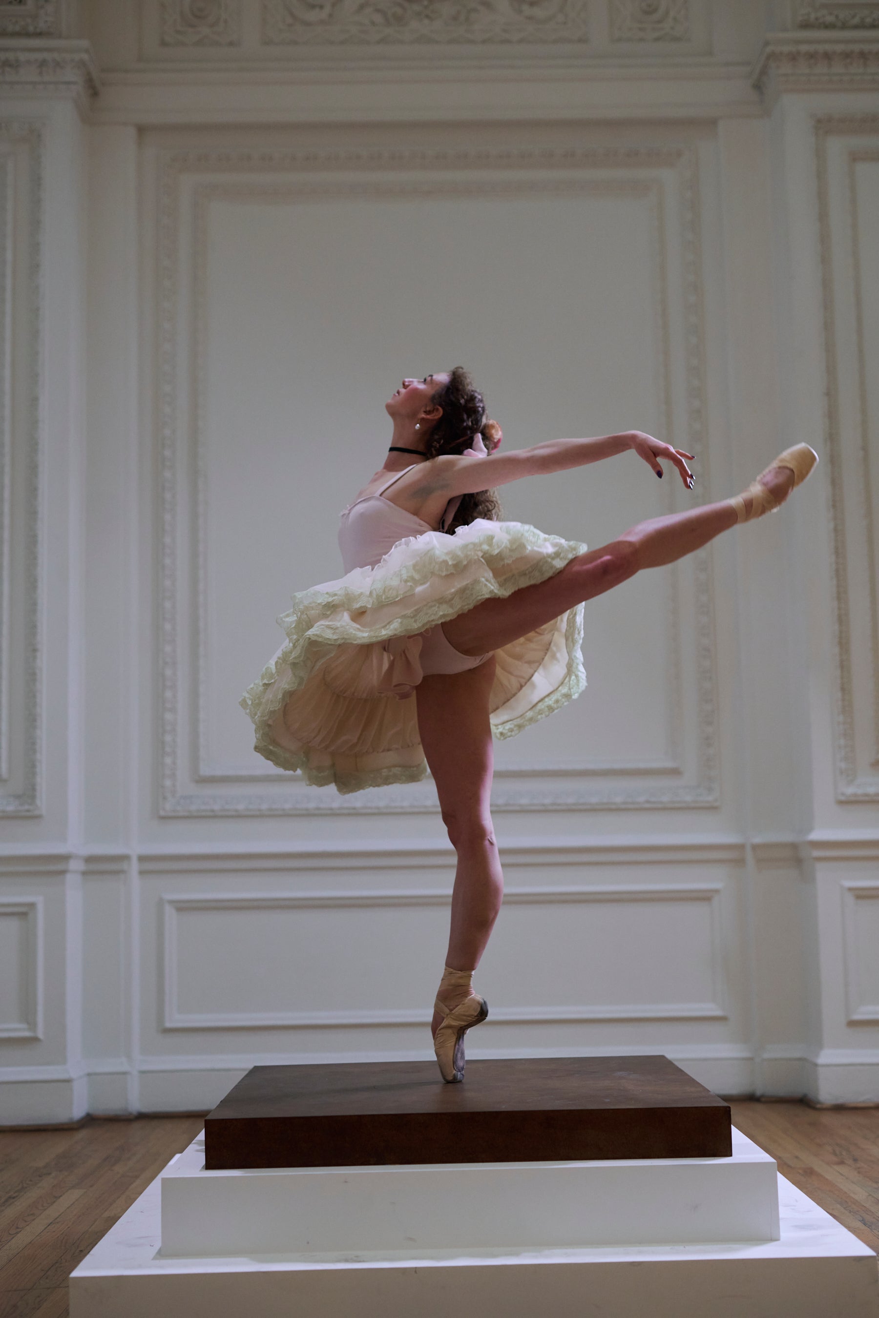 Degas Ballet Tutu for Pointe Performance