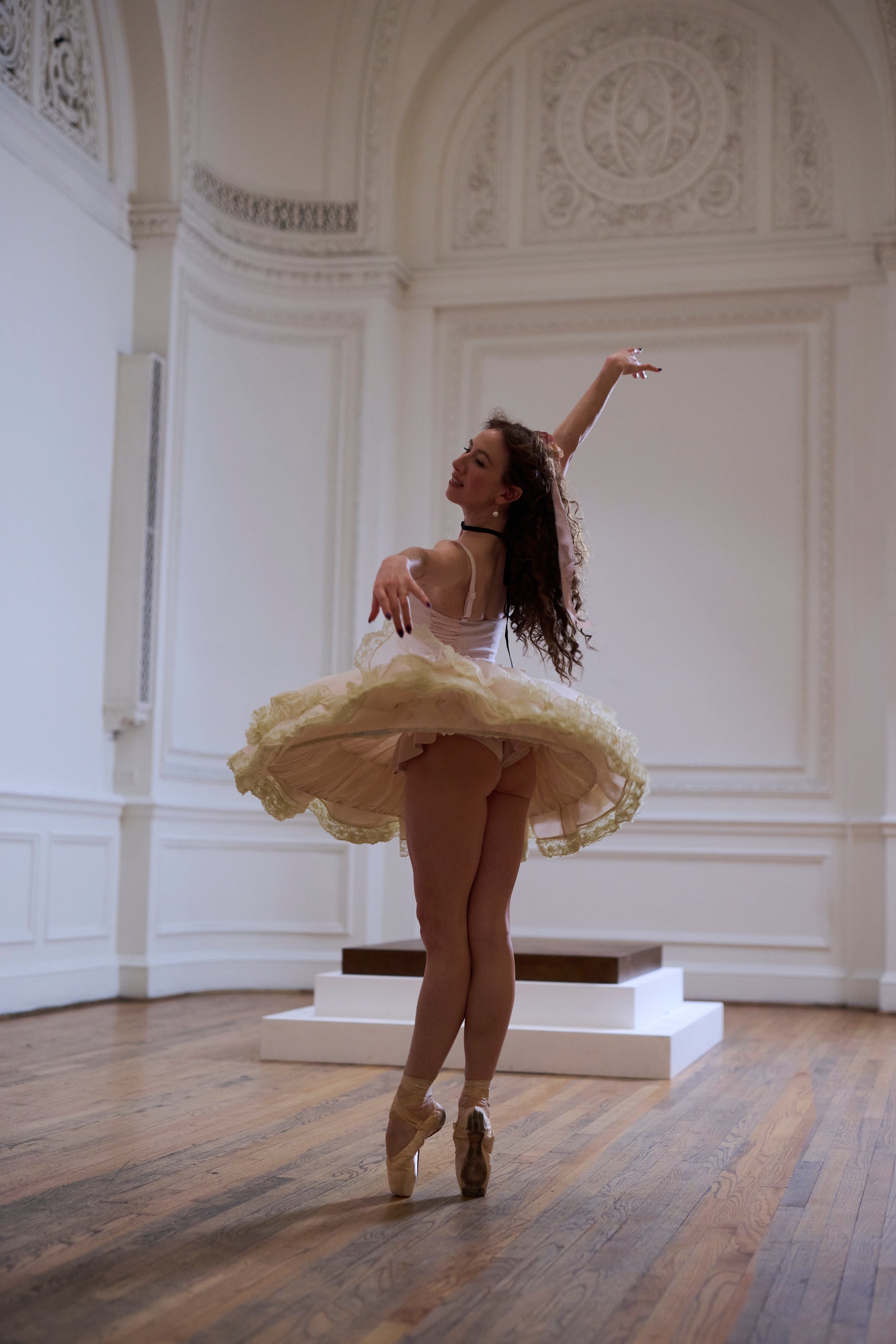 Degas Ballet Tutu for Pointe Performance