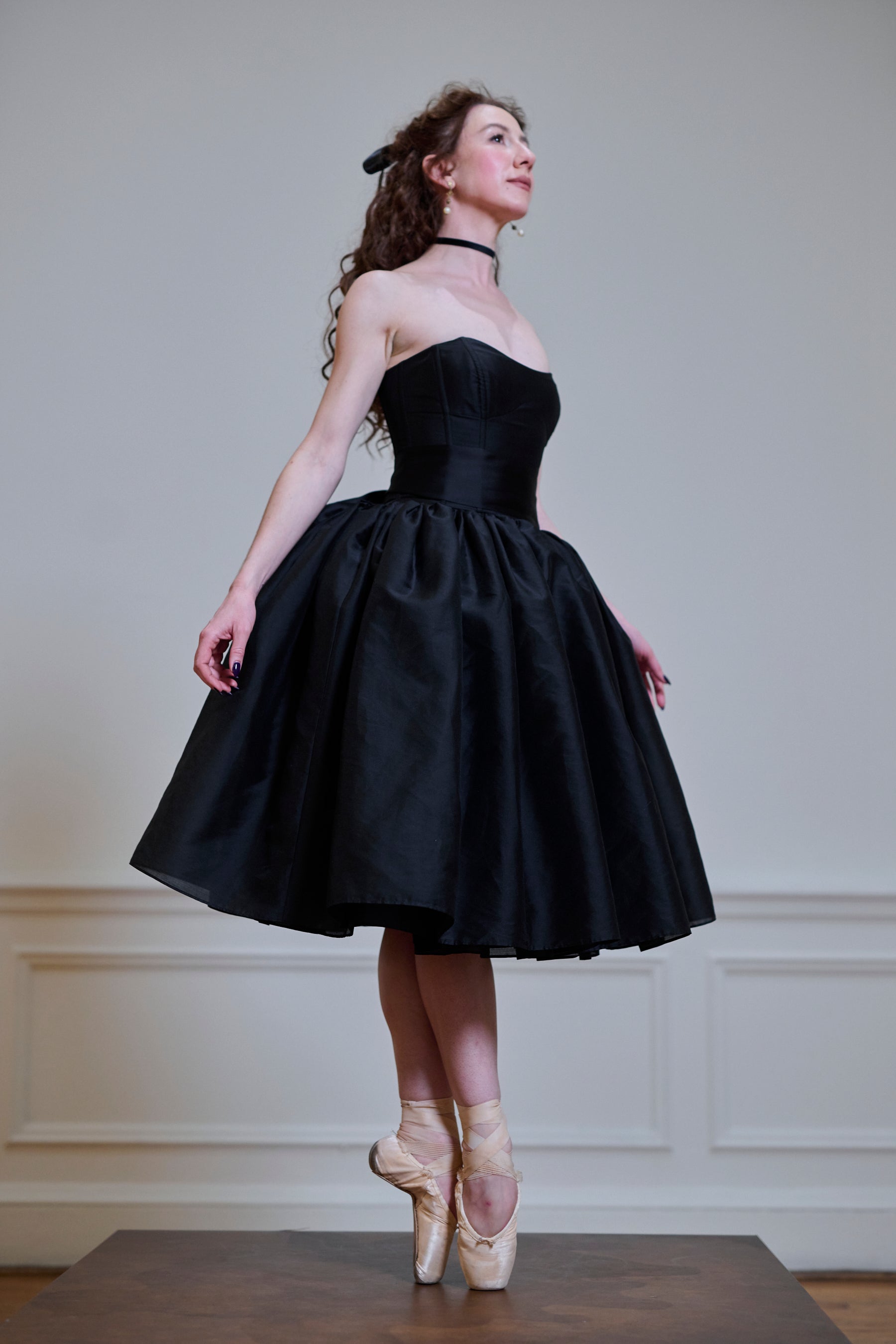 Elegant Black Swan Degas Dress for Evening Wear