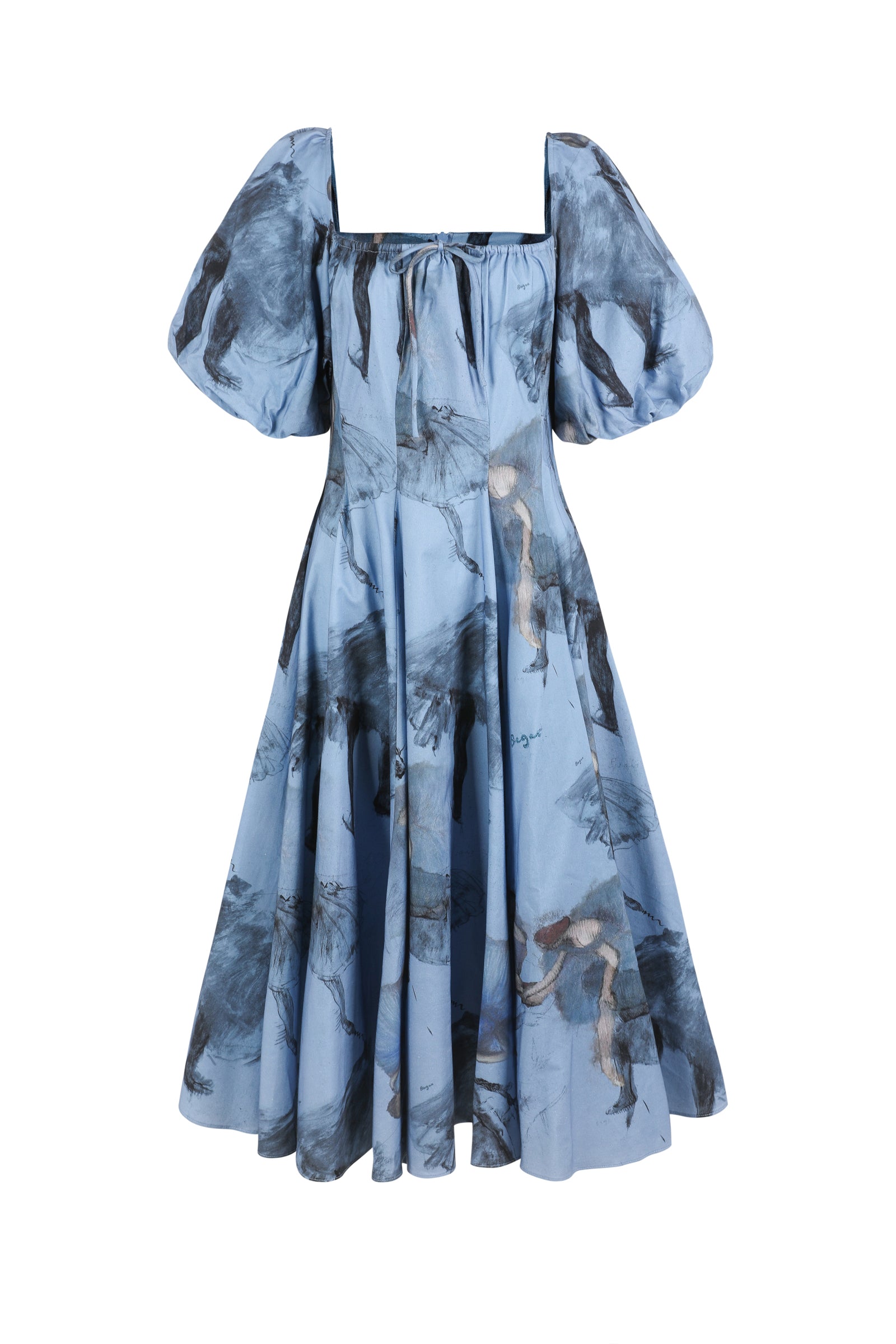 Blue Dancer Floral Day Dress